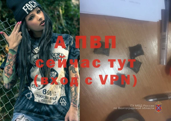 стафф Алзамай