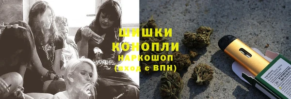 стафф Алзамай