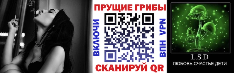 Галлюциногенные грибы мухоморы  как найти наркотики  Сатка 