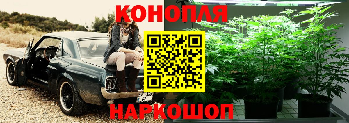 Конопля гибрид Сатка